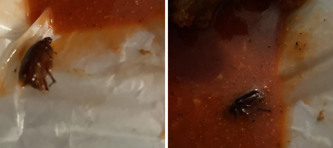 Pizza Wings & Things